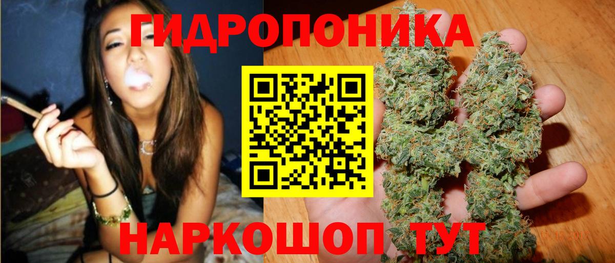 Бошки марихуана сатива Бийск